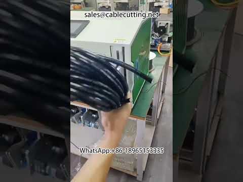Wire Winding and Taping Machine #Wire Winding Machine #Wire Processing #Automation Equipment